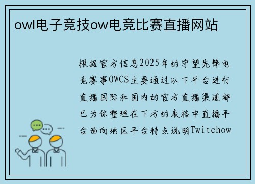 owl电子竞技ow电竞比赛直播网站